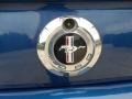 2007 Vista Blue Metallic Ford Mustang V6 Premium Coupe  photo #18