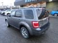 2009 Sterling Grey Metallic Ford Escape Limited V6 4WD  photo #2