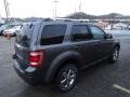 2009 Sterling Grey Metallic Ford Escape Limited V6 4WD  photo #4