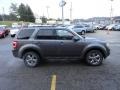 2009 Sterling Grey Metallic Ford Escape Limited V6 4WD  photo #5