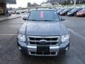 2009 Sterling Grey Metallic Ford Escape Limited V6 4WD  photo #7