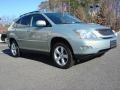 Bamboo Green Pearl - RX 350 AWD Photo No. 2