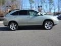 Bamboo Green Pearl - RX 350 AWD Photo No. 3