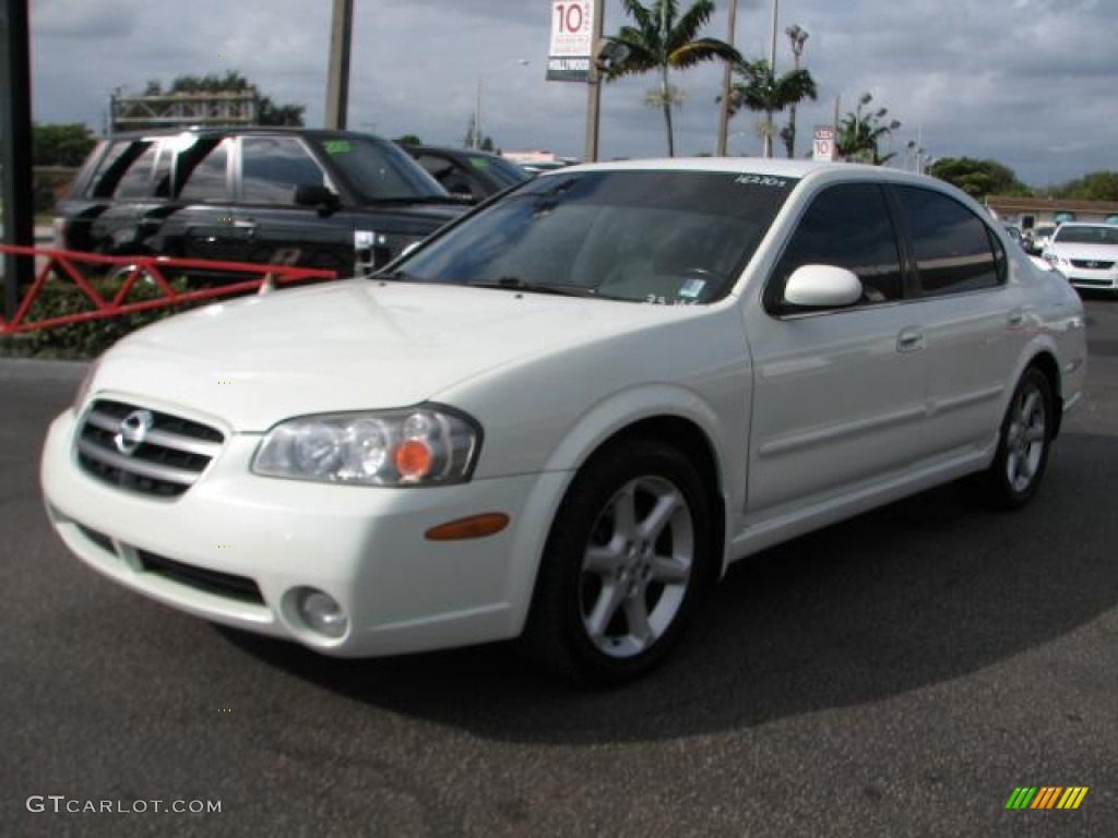 2002 Maxima SE - Glacier White Pearl / Frost photo #5