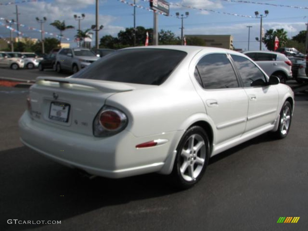 2002 Nissan pearl paint #10