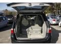 2006 Sage Brush Pearl Honda Odyssey EX-L  photo #7