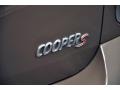 Light Coffee - Cooper S Countryman All4 AWD Photo No. 6