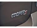 2011 Light Coffee Mini Cooper S Countryman All4 AWD  photo #6