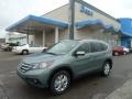 Opal Sage Metallic - CR-V EX-L 4WD Photo No. 1