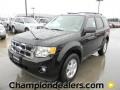 Ebony Black - Escape XLT V6 Photo No. 1