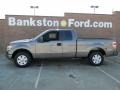 Sterling Gray Metallic - F150 STX SuperCab Photo No. 5