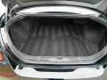 Charcoal Trunk Photo for 2007 Nissan Maxima #58685371