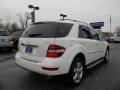 Arctic White - ML 350 4Matic Photo No. 2