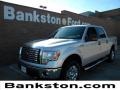 2011 Ingot Silver Metallic Ford F150 XLT SuperCrew 4x4  photo #1