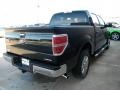 2011 Tuxedo Black Metallic Ford F150 XLT SuperCrew  photo #3