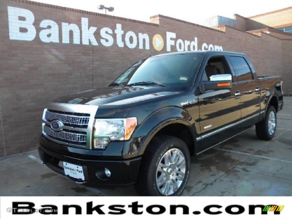 2011 F150 Platinum SuperCrew 4x4 - Ebony Black / Sienna Brown/Black photo #1