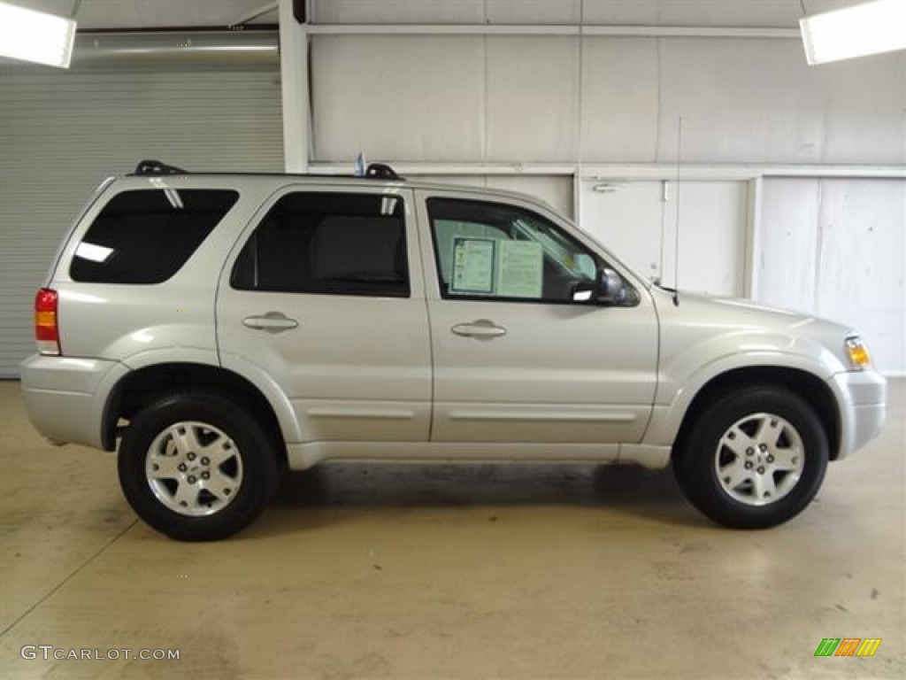 Silver Metallic 2007 Ford Escape Limited Exterior Photo #58689520