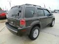 Charcoal Beige Metallic - Mariner Luxury Photo No. 6