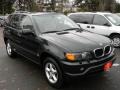 Oxford Green Metallic - X5 3.0i Photo No. 2