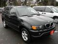 2002 Oxford Green Metallic BMW X5 3.0i  photo #2