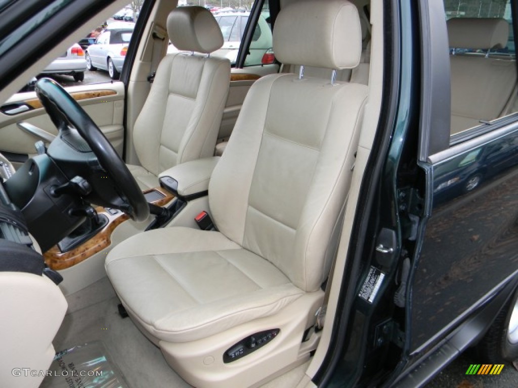 Beige Interior 2002 BMW X5 3.0i Photo #58699703