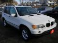 Alpine White - X5 3.0i Photo No. 2