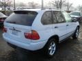 Alpine White - X5 3.0i Photo No. 5