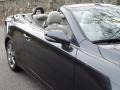 2011 Smoky Granite Mica Lexus IS 250C Convertible  photo #20