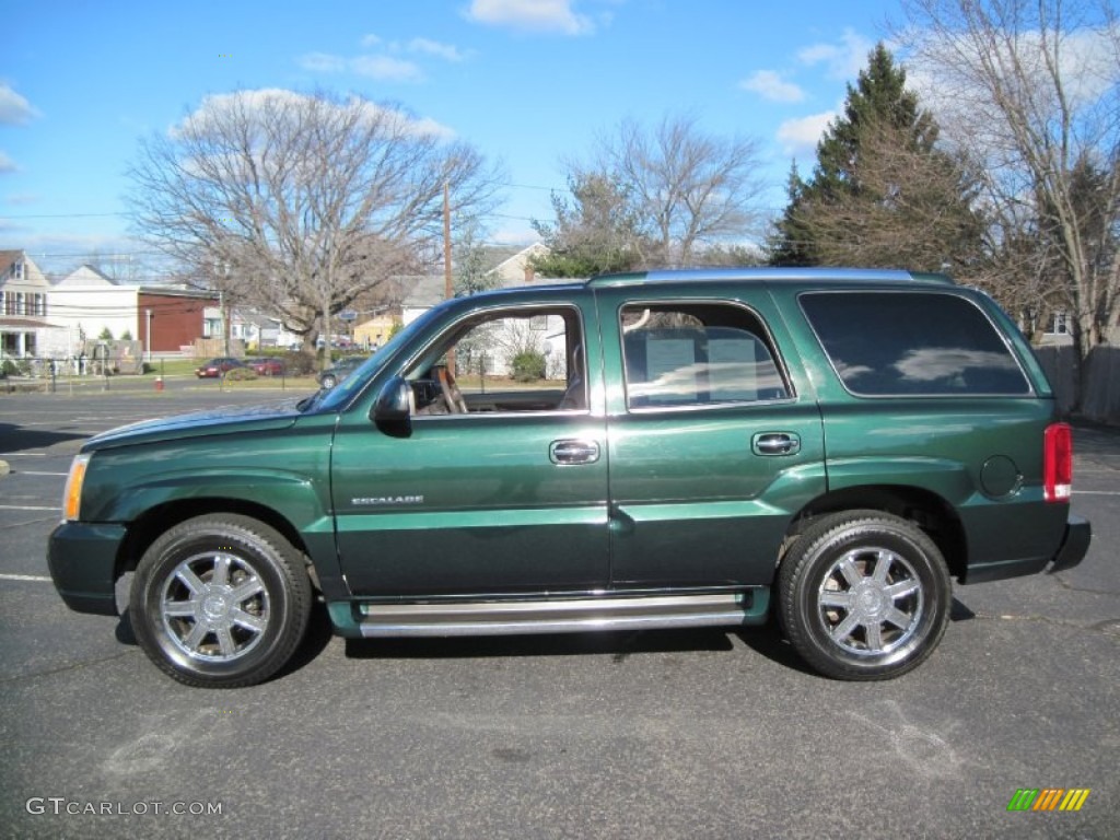 2002 Escalade AWD - Green Envy / Shale photo #3