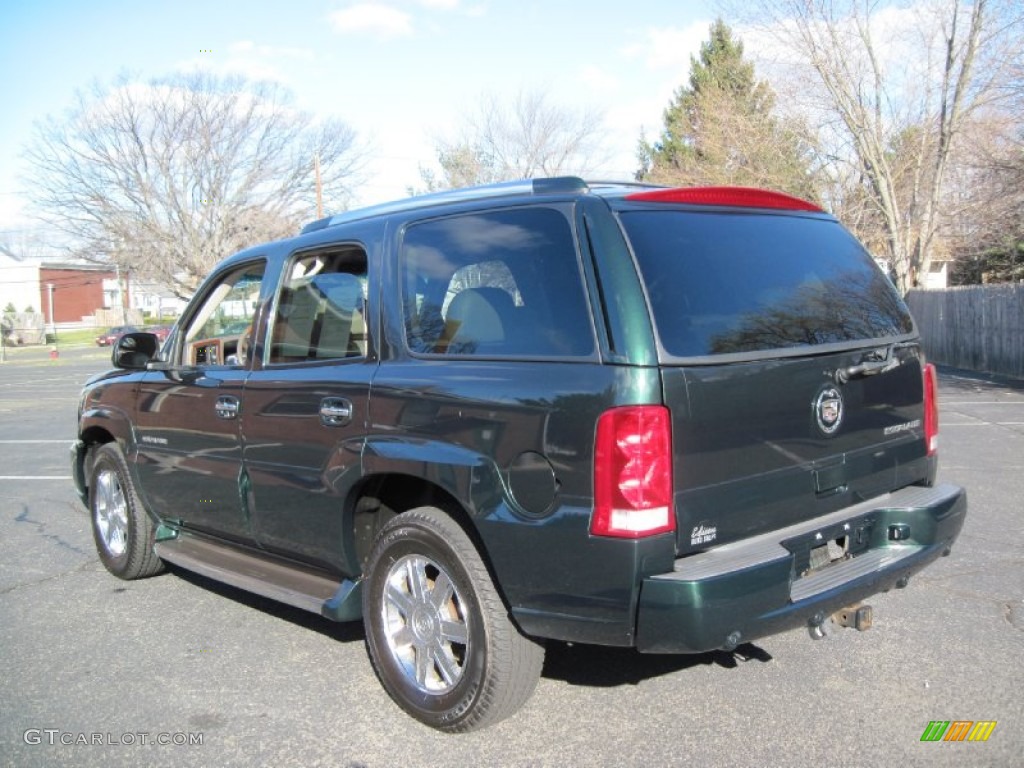2002 Escalade AWD - Green Envy / Shale photo #5