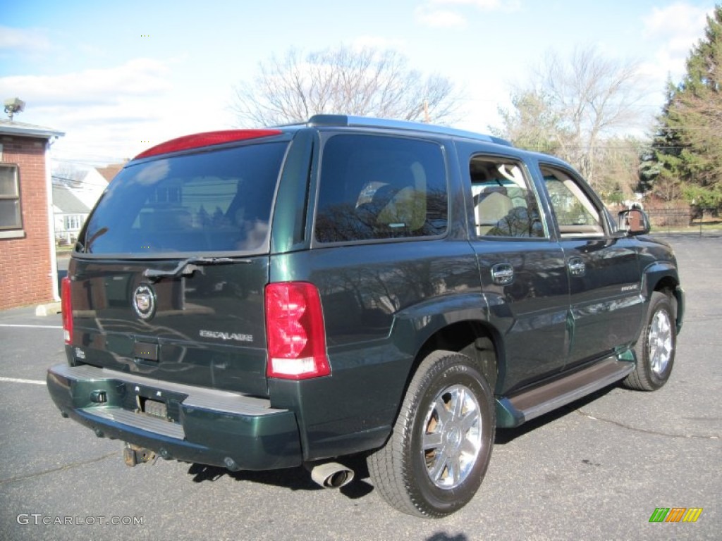 2002 Escalade AWD - Green Envy / Shale photo #7
