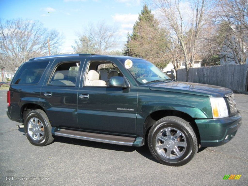 2002 Escalade AWD - Green Envy / Shale photo #9