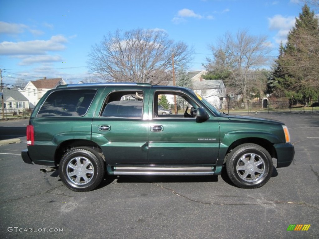 2002 Escalade AWD - Green Envy / Shale photo #10