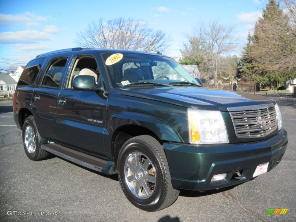2002 Escalade AWD - Green Envy / Shale photo #11