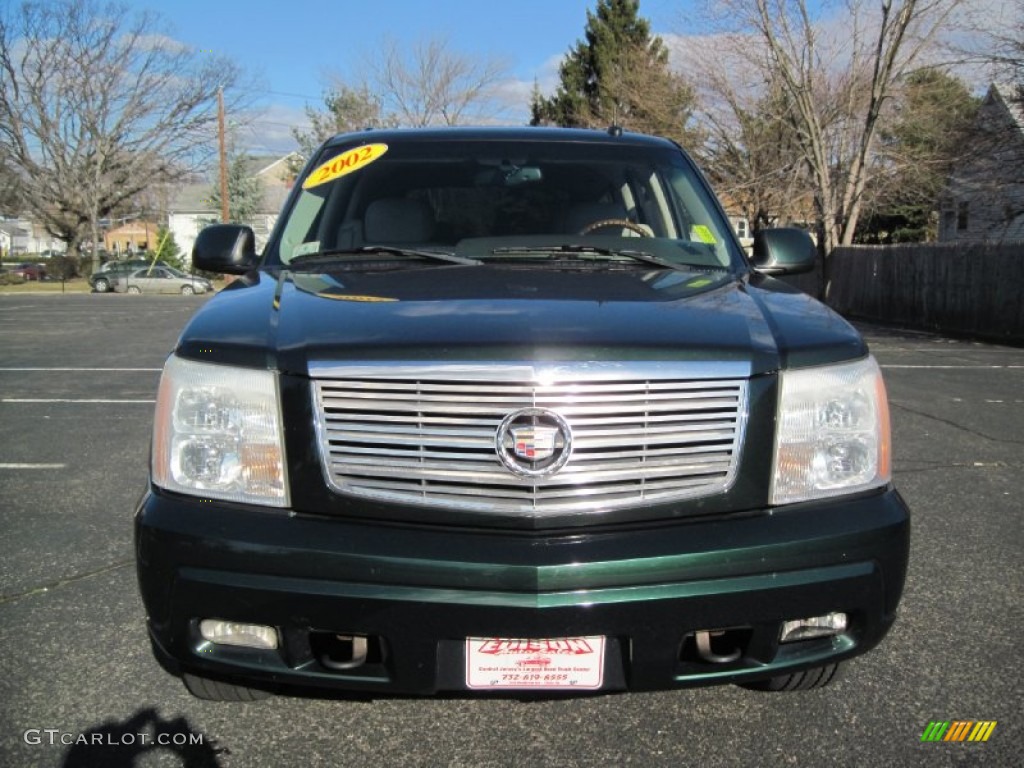 2002 Escalade AWD - Green Envy / Shale photo #12