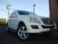 Arctic White - ML 350 4Matic Photo No. 2