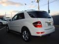 Arctic White - ML 350 4Matic Photo No. 5
