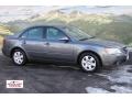 Willow Gray - Sonata GLS V6 Photo No. 1