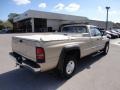 2002 Light Almond Pearl Metallic Dodge Ram 2500 SLT Quad Cab  photo #8