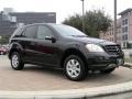 2006 Obsidian Black Metallic Mercedes-Benz ML 350 4Matic  photo #3