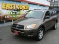 Pyrite Metallic - RAV4 I4 4WD Photo No. 3
