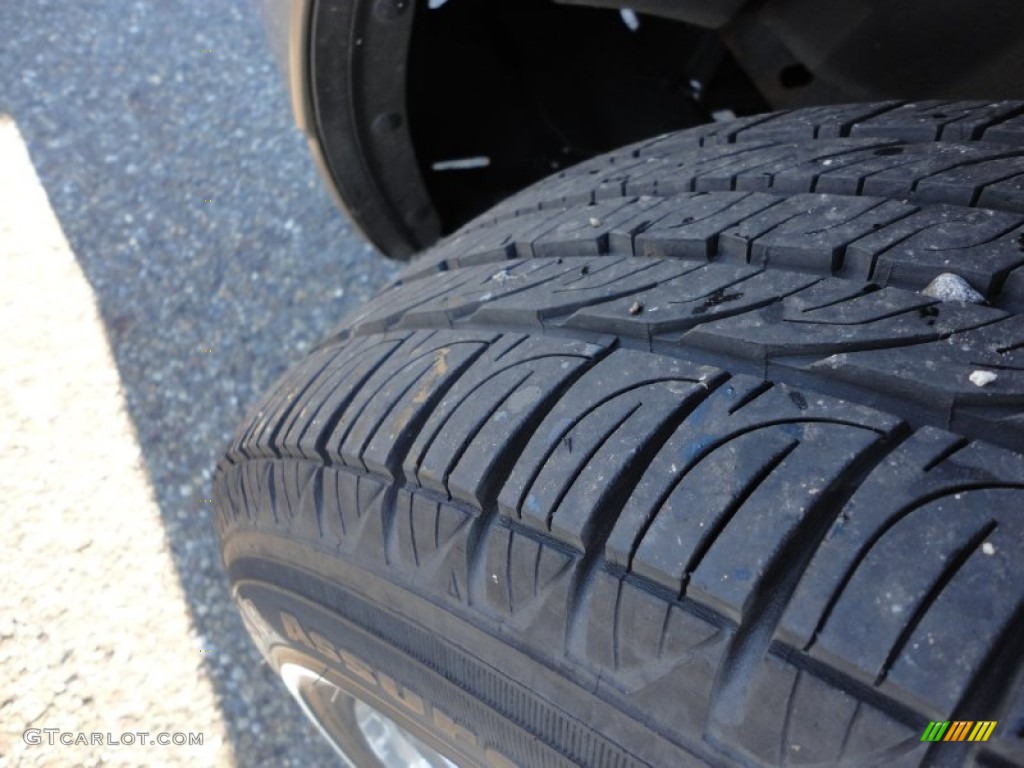 2004 Grand Marquis LS - Arizona Beige Metallic / Medium Parchment photo #14