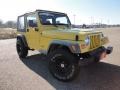 Solar Yellow 2002 Jeep Wrangler SE 4x4