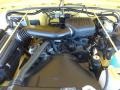 2.5 Liter OHV 8-Valve 4 Cylinder 2002 Jeep Wrangler SE 4x4 Engine