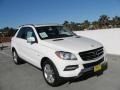 Arctic White - ML 350 BlueTEC 4Matic Photo No. 1