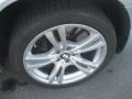 2010 BMW X5 M Standard X5 M Model Wheel and Tire Photo