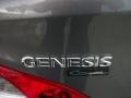 Nordschleife Gray - Genesis Coupe 3.8 Coupe Photo No. 3