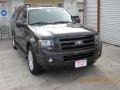 Carbon Metallic - Expedition EL Limited 4x4 Photo No. 9