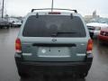 2007 Titanium Green Metallic Ford Escape XLT V6  photo #7