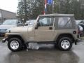 2006 Light Khaki Metallic Jeep Wrangler SE 4x4  photo #11